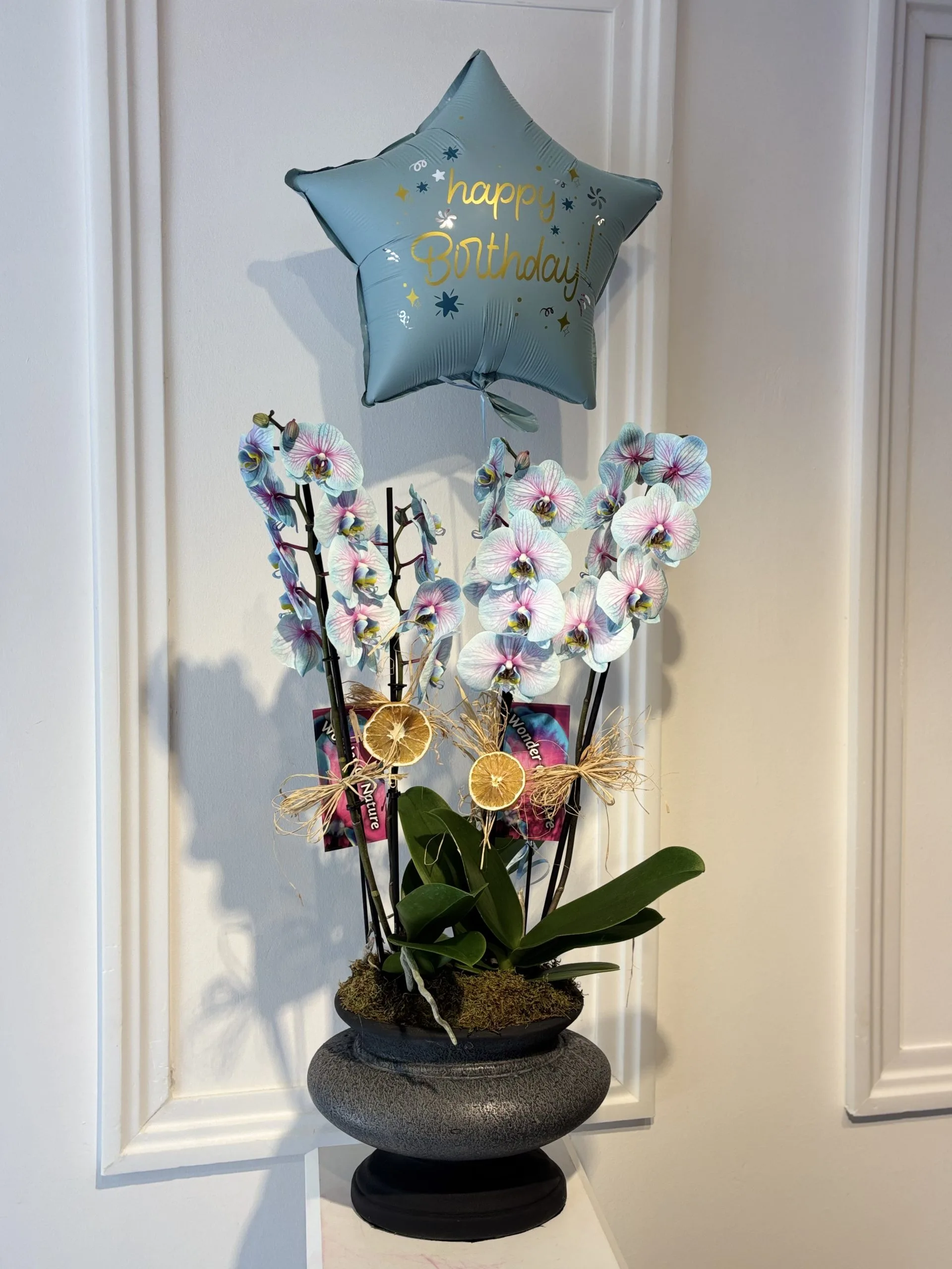 Orchids