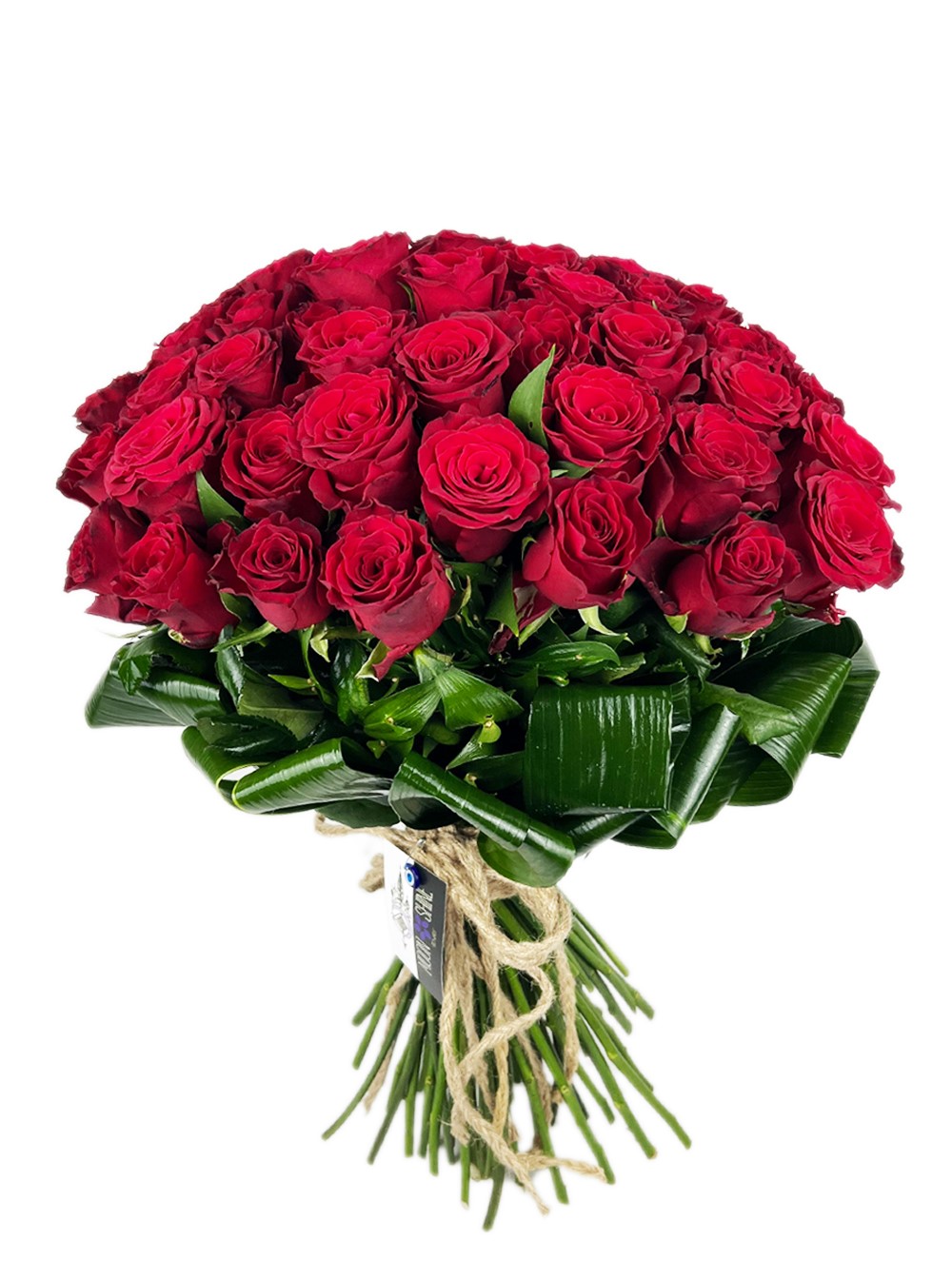 Rising Sun 51 Red Roses