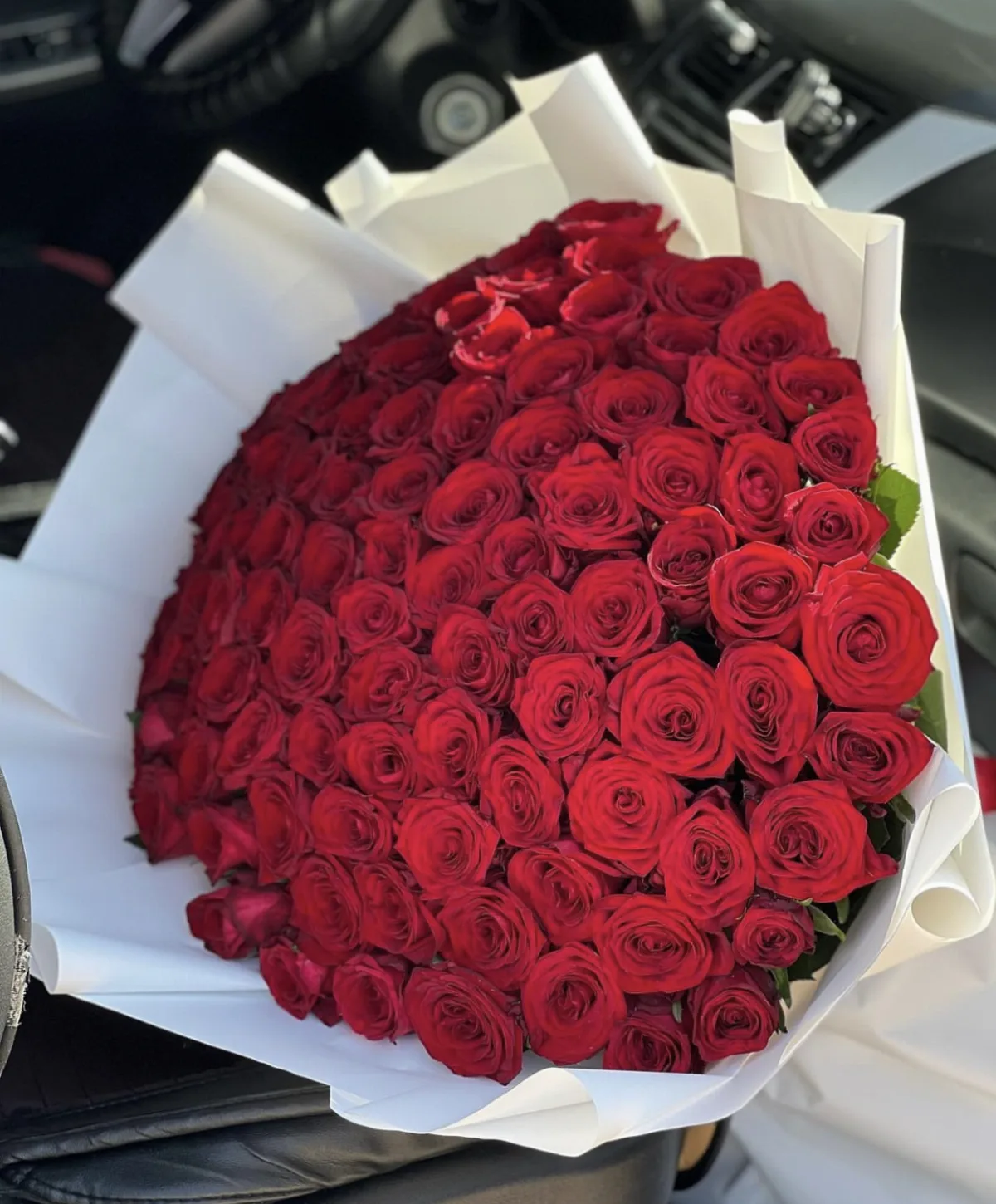 VIP 101 Red Roses V4