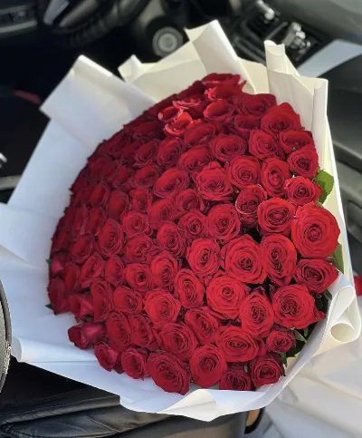 VIP 101 Red Roses V4