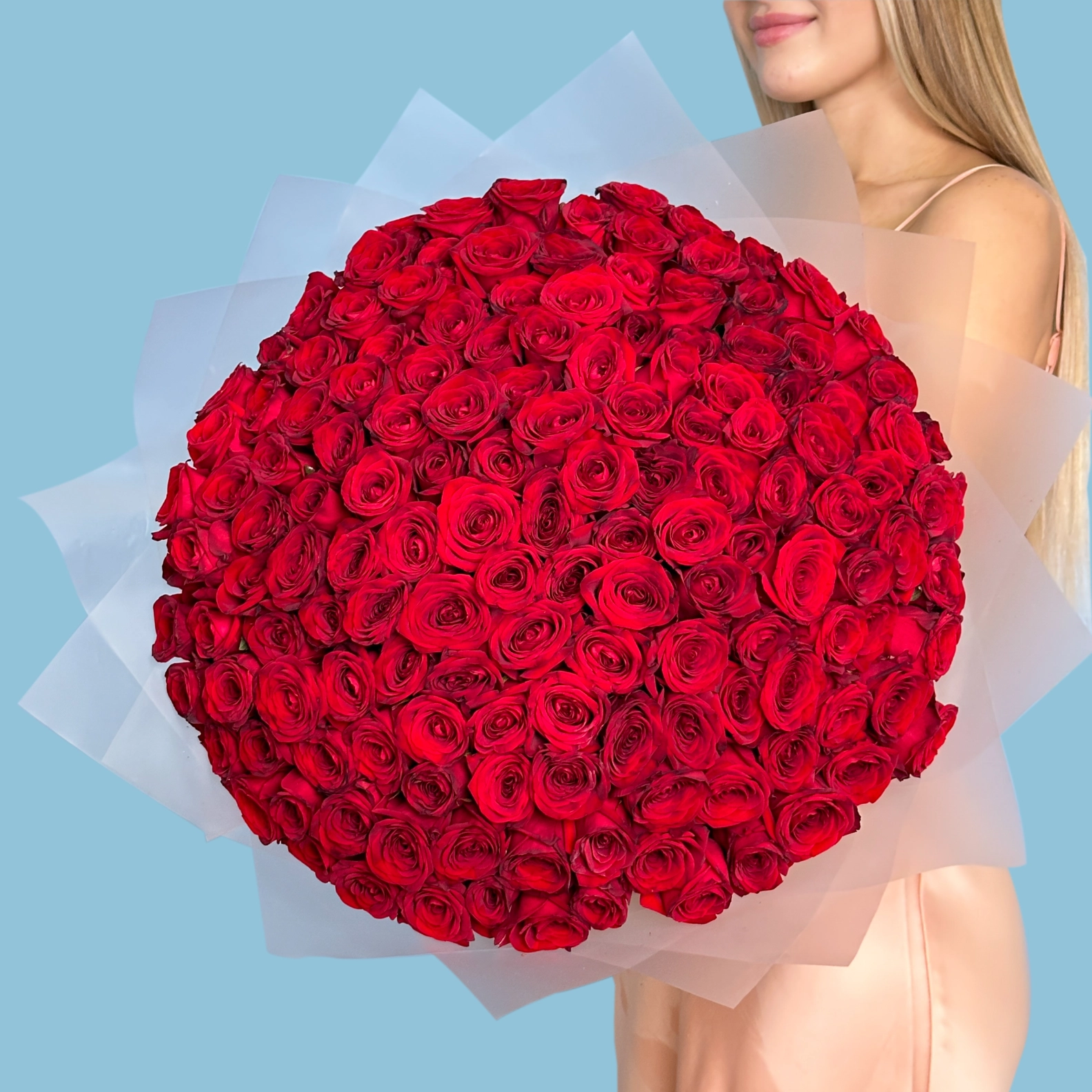 VIP 151 Red Roses