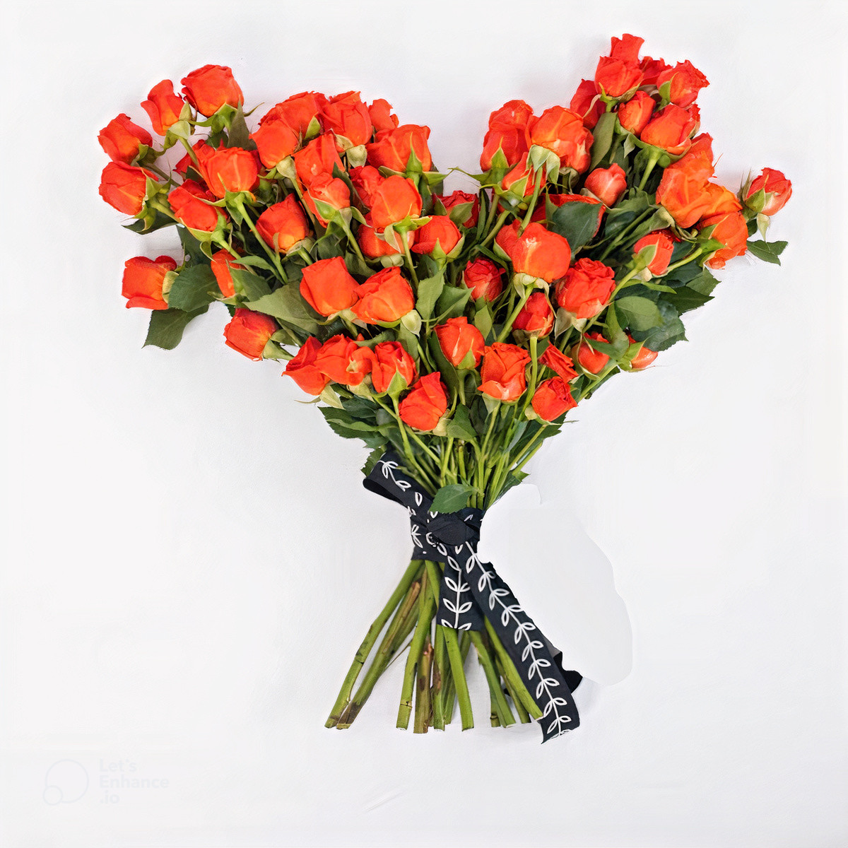 Orange Lover
