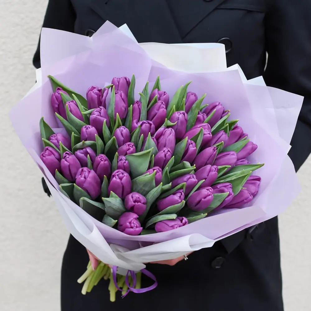Fushia Tulips