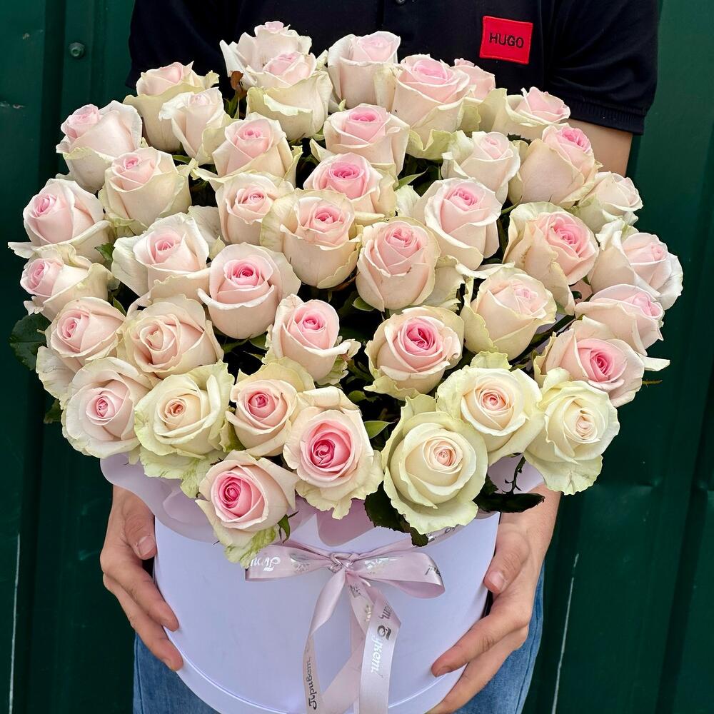 Pink Lover