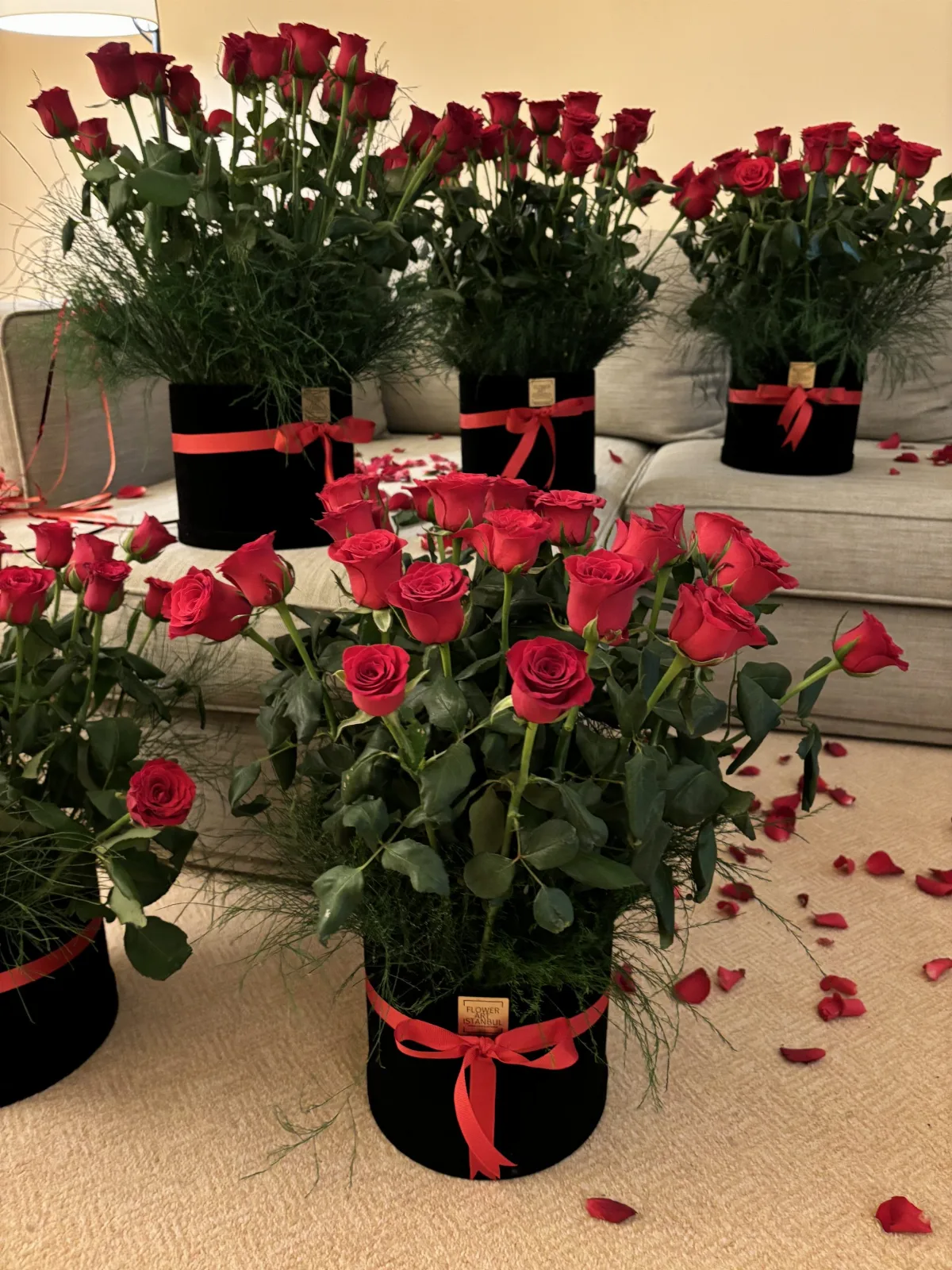 Elegant Rose Box – 25 Premium Roses