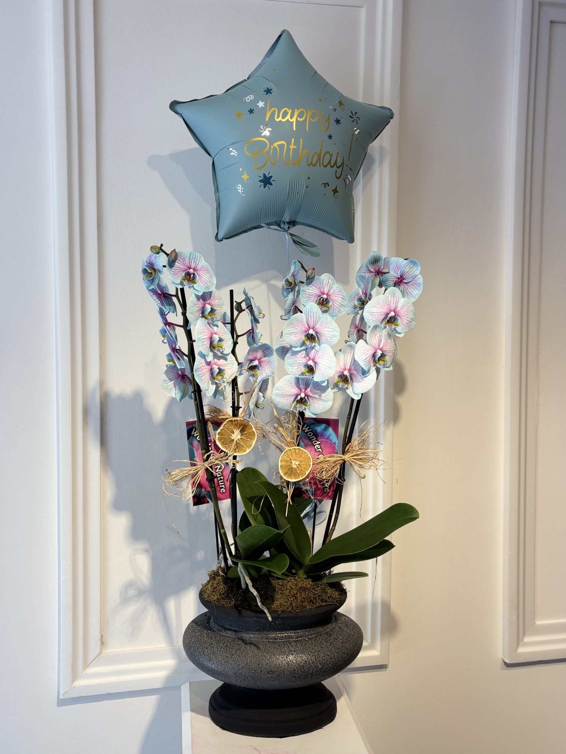 Luxury Blue Orchid Harmony