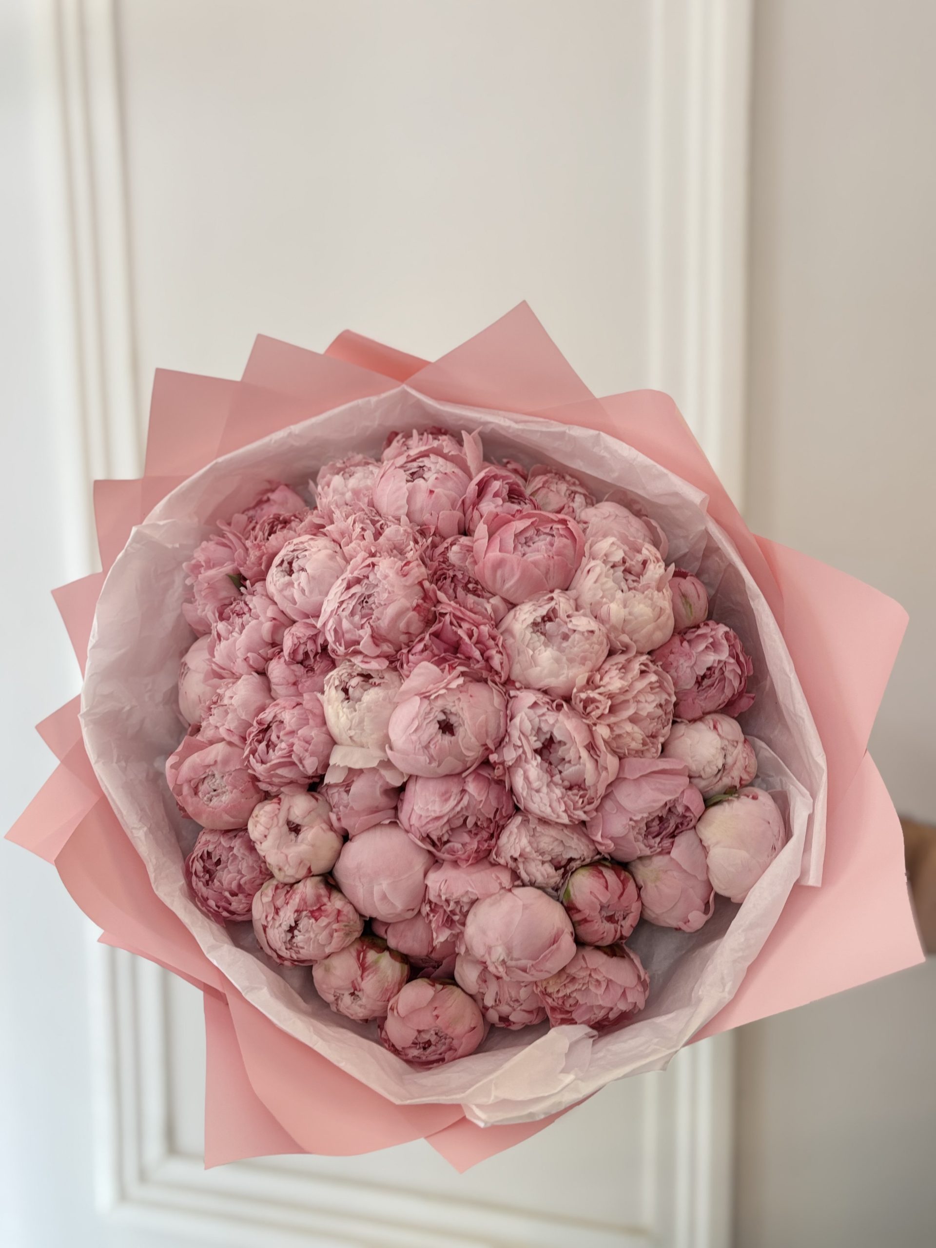 51 Pink Peony