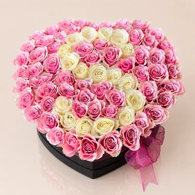 Princess Heart