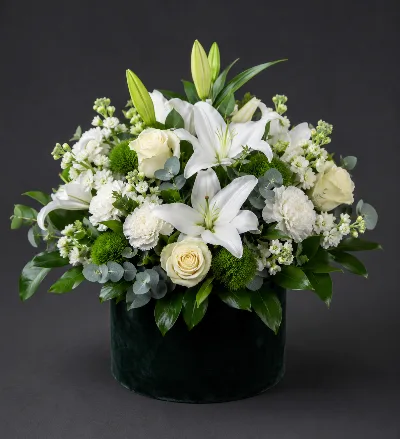 Midnight White Elegance
