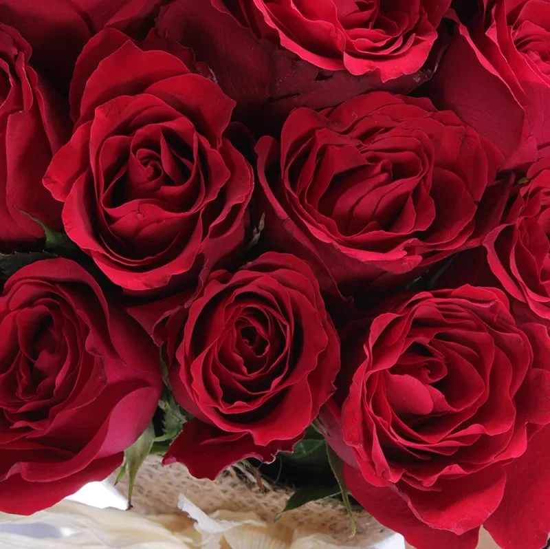 19 Red Roses