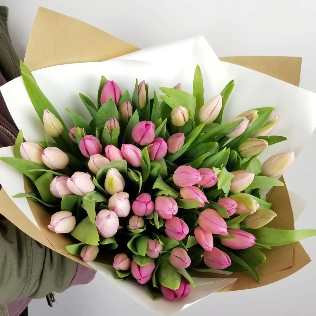 51 Mix Tulips