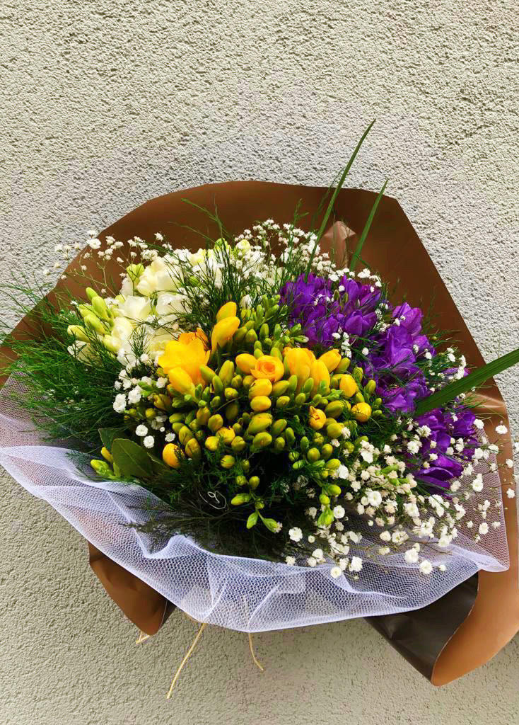 Rainbow Freesia