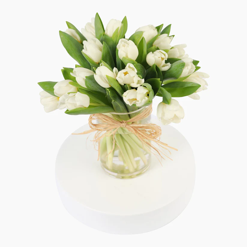 20 White Tulips