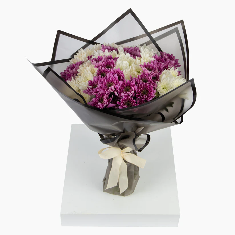 20 Purple & White Chrysanthemums
